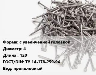 Гвоздь с увеличенной головкой 4х120 ГОСТ: ТУ 14-178-259-94 проволочный